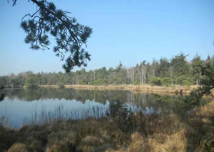 & Restaurant - De Hilver Otel