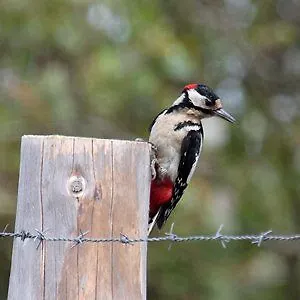 Otel & Restaurant - De Hilver 4*